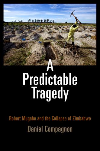 Паперова книга «A Predictable Tragedy: Robert Mugabe and the Collapse of Zimbabwe», автор Даніель Компаньйон - фото №1