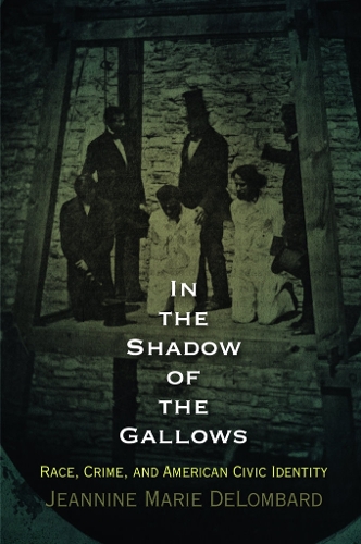 Паперова книга «In the Shadow of the Gallows: Race, Crime, and American Civic Identity», автор Жаннін Марі ДеЛомбард - фото №1