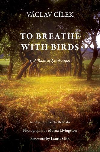 Бумажная книга «To Breathe with Birds: A Book of Landscapes», автор Вацлав Цилек - фото №1