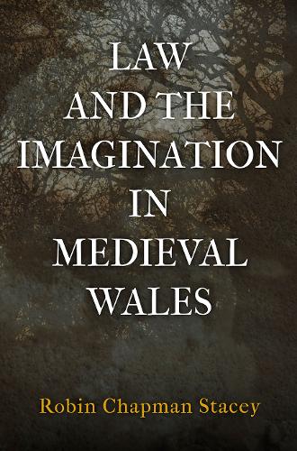Бумажная книга «Law and the Imagination in Medieval Wales», автор Робин Чепмен Стейси - фото №1