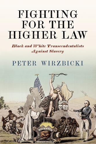 Бумажная книга «Fighting for the Higher Law: Black and White Transcendentalists Against Slavery», автор Питер Виржбицки - фото №1