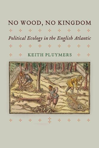 Бумажная книга «No Wood, No Kingdom: Political Ecology in the English Atlantic», автор Кит Плеймерс - фото №1