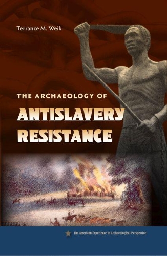 Паперова книга «The Archaeology of Anti-Slavery Resistance», автор Терренс М. Вейк - фото №1