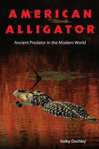 Бумажная книга «American Alligator: Ancient Predator in the Modern World», автор Келби Оучли - фото №1