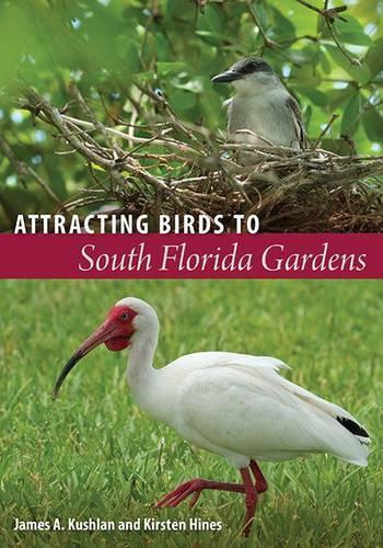 Бумажная книга «Attracting Birds to South Florida Gardens», авторов Джеймс А. Кушлан, Кирстен Хайнс - фото №1