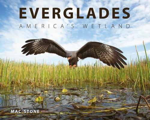Бумажная книга «Everglades: America's Wetland», автор Мак Стоун - фото №1