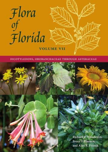 Бумажная книга «Flora of Florida, Volume VII: Dicotyledons, Orobanchaceae through Asteraceae», авторов Алан Р. Франк, Брюс Ф. Хансен, Ричард П. Вундерлин - фото №1