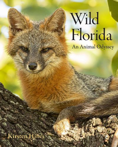Паперова книга «Wild Florida: An Animal Odyssey», автор Кірстен Хайнс - фото №1