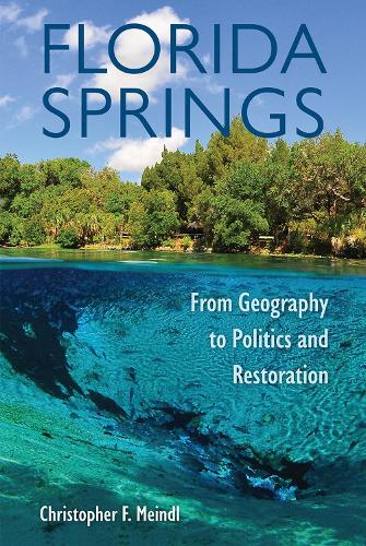 Бумажная книга «Florida Springs: From Geography to Politics and Restoration», автор Кристофер Ф. Майндл - фото №1