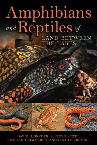 Бумажная книга «Amphibians and Reptiles of Land Between the Lakes», авторов A. Флойд Скотт, Дэвид Ф. Фраймир, Дэвид Х. Снайдер, Эдмунд Дж. Циммерер - фото №1