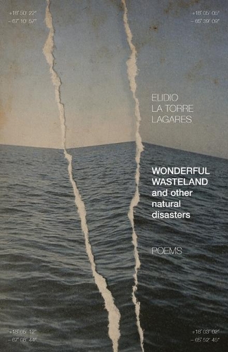 Бумажная книга «Wonderful Wasteland and other natural disasters: Poems», автор Элидио Ла Торре Лагарес - фото №1