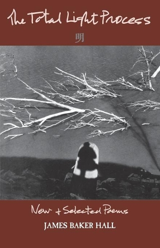 Бумажная книга «The Total Light Process: New & Selected Poems», автор Джеймс Бейкер Холл - фото №1