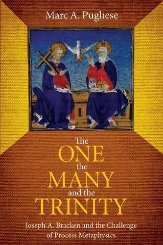 Бумажная книга «The One, the Many and the Trinity: Joseph A. Bracken and the Challenge of Process Metaphysics», автор Марк А. Пуглизе - фото №1