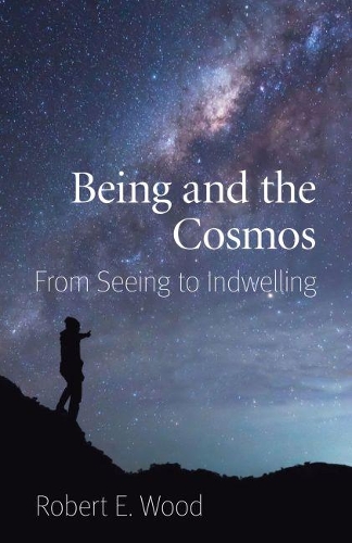 Бумажная книга «Being and the Cosmos: From Seeing to Indwelling», автор Роберт Э. Вуд - фото №1