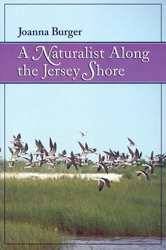Паперова книга «A Naturalist Along the Jersey Shore», автор Джоанна Бургер - фото №1