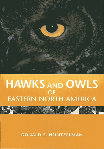 Бумажная книга «Hawks and Owls of Eastern North America», автор Дональд С. Хайнтцельман - фото №1