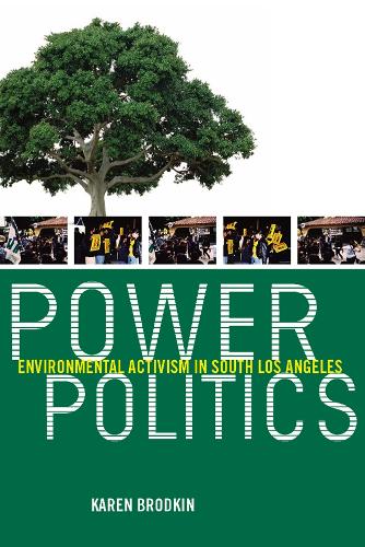 Бумажная книга «Power Politics: Environmental Activism in South Los Angeles», автор Карен Бродкин - фото №1
