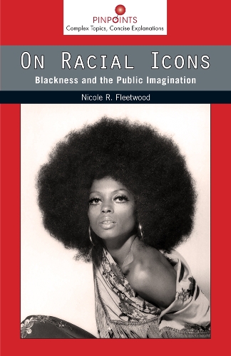 Бумажная книга «On Racial Icons: Blackness and the Public Imagination», автор Николь Р. Флитвуд - фото №1