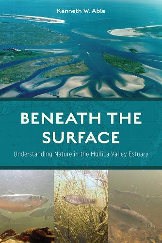 Бумажная книга «Beneath the Surface: Understanding Nature in the Mullica Valley Estuary», автор Кеннет В. Эйбл - фото №1