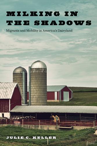 Бумажная книга «Milking in the Shadows: Migrants and Mobility in America’s Dairyland», автор Джули К. Келлер - фото №1