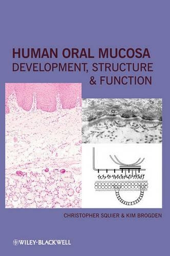 Паперова книга «Human Oral Mucosa: Development, Structure and Function», авторів Крістофер Сквайєр, Кім Брогден - фото №1