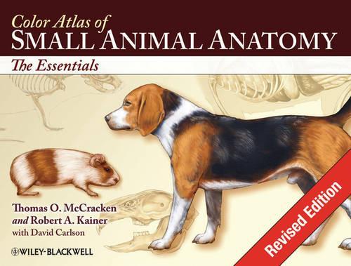 Бумажная книга «Color Atlas of Small Animal Anatomy: The Essentials», авторов Роберт А. Кайнер, Томас О. МакКракен - фото №1
