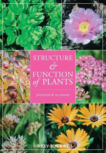 Бумажная книга «Structure and Function of Plants», автор Дженнифер В. Макадам - фото №1