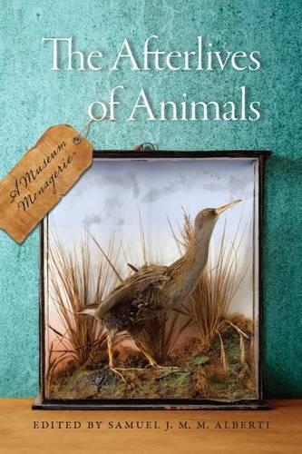 Бумажная книга «The  Afterlives of Animals: A Museum Menagerie», автор Сэмюэл Дж. М. М. Альберти - фото №1
