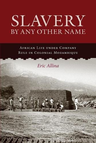 Бумажная книга «Slavery by Any Other Name: African Life under Company Rule in Colonial Mozambique», автор Эрик Аллина - фото №1