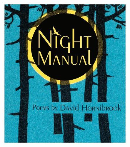 Бумажная книга «Night Manual», автор Дэвид Хорнибрук - фото №1