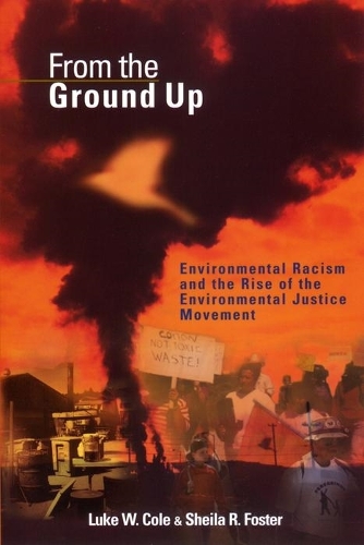 Бумажная книга «From the Ground Up: Environmental Racism and the Rise of the Environmental Justice Movement», авторов Люк В. Коул, Шейла Р. Фостер - фото №1