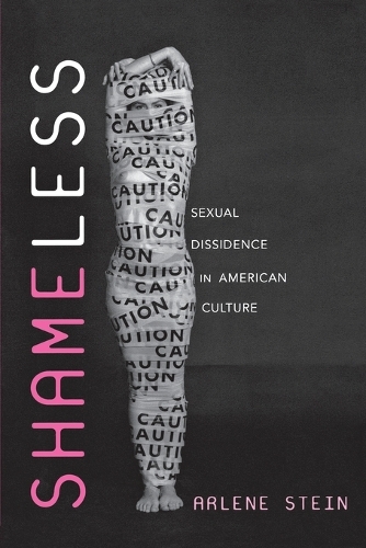 Паперова книга «Shameless: Sexual Dissidence in American Culture», автор Арлін Стайн - фото №1