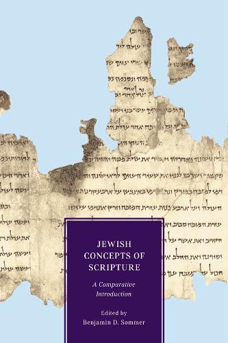 Бумажная книга «Jewish Concepts of Scripture: A Comparative Introduction», автор Бенджамин Д. Соммер - фото №1