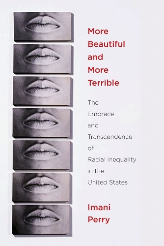 Бумажная книга «More Beautiful and More Terrible: The Embrace and Transcendence of Racial Inequality in the United States», автор Имани Перри - фото №1
