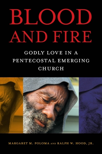 Бумажная книга «Blood and Fire: Godly Love in a Pentecostal Emerging Church», авторов Маргарет М. Полома, Ральф У. Худ-мл. - фото №1