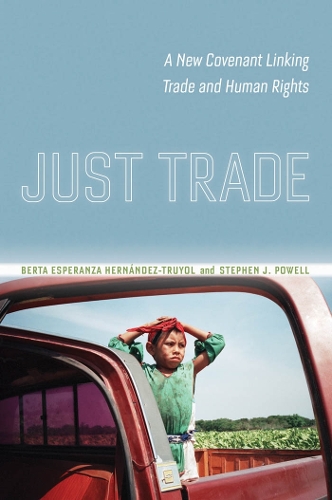 Бумажная книга «Just Trade: A New Covenant Linking Trade and Human Rights», авторов Берта Эсперанса Эрнандес-Труйоль, Стивен Джозеф Пауэлл - фото №1