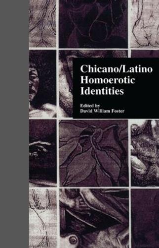 Паперова книга «Chicano/Latino Homoerotic Identities», автор Девід В. Фостер - фото №1
