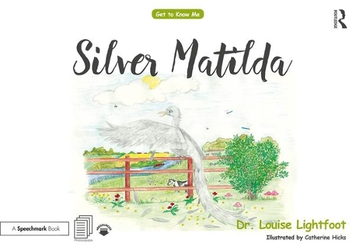 Паперова книга «Silver Matilda: Get to Know Me: Depression», автор Луїза Лайтфут - фото №1