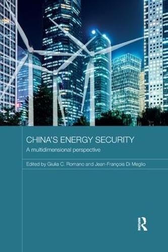 Паперова книга «China's Energy Security: A Multidimensional Perspective» - фото №1