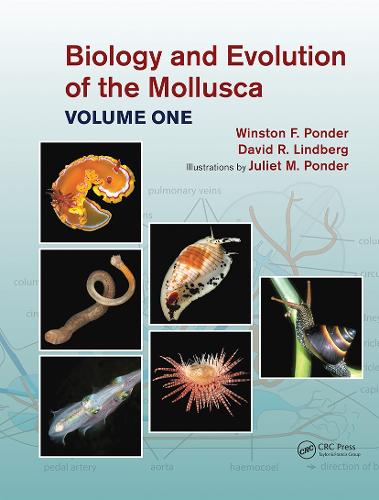 Паперова книга «Biology and Evolution of the Mollusca, Volume 1», авторів Девід Р. Ліндберг, Джульєтта Мері Пондер, Вінстон Френк Пондер - фото №1
