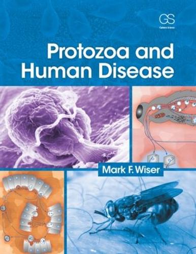 Бумажная книга «Protozoa and Human Disease», автор Марк Ф. Уайзер - фото №1