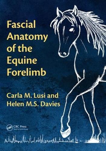 Бумажная книга «Fascial Anatomy of the Equine Forelimb», авторов Карла М. Луси, Хелен М.С. Дэвис - фото №1
