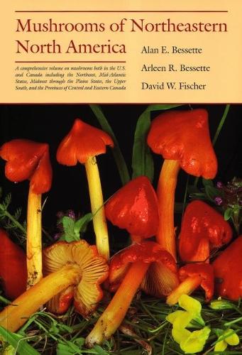 Бумажная книга «Mushrooms of Northeastern North America», автор Алан Э. Бессетт - фото №1