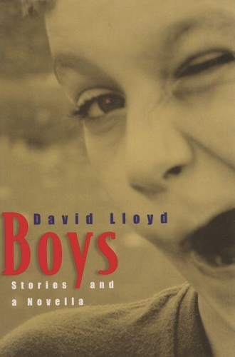 Бумажная книга «Boys: Stories and a Novella», автор Дэвид Ллойд - фото №1