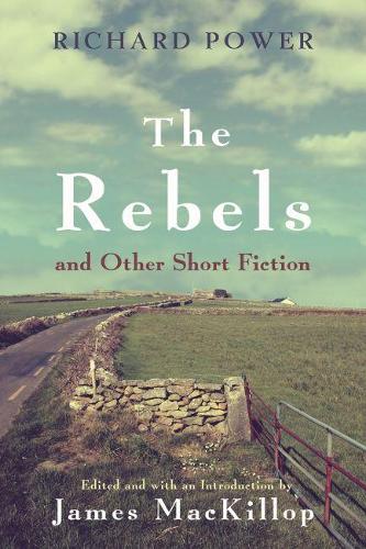 Паперова книга «The Rebels and Other Short Fiction», автор Річард Пауер - фото №1