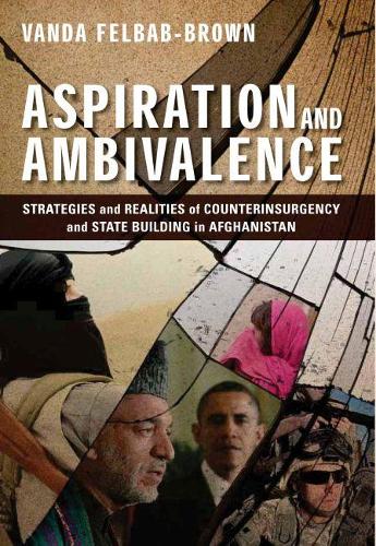 Бумажная книга «Aspiration and Ambivalence» - фото №1