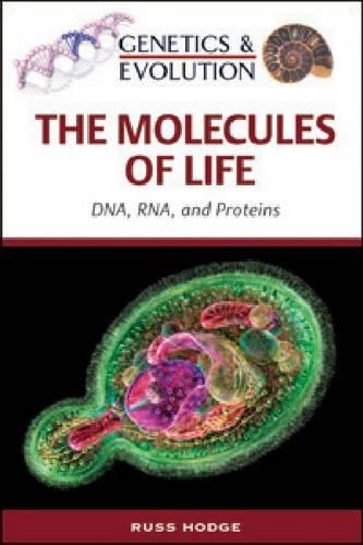 Бумажная книга «The Molecules of Life: DNA, RNA and Proteins», автор Расс Ходж - фото №1