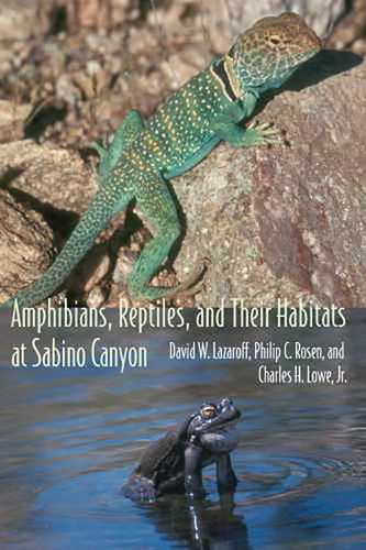 Паперова книга «Amphibians, Reptiles, and Their Habitats at Sabino Canyon», авторів Чарльз Г. Лоу-молодший, Девід В. Лазарофф, Філіп К. Розен - фото №1