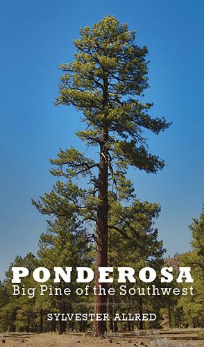 Паперова книга «Ponderosa: Big Pine of the Southwest», автор Сильвестр Оллред - фото №1