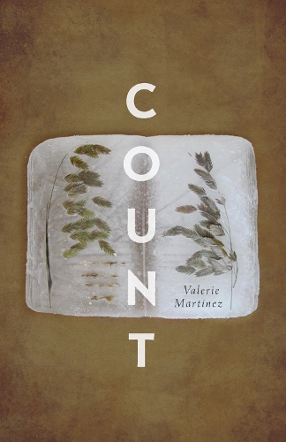 Бумажная книга «Count», автор Валери Мартинес - фото №1